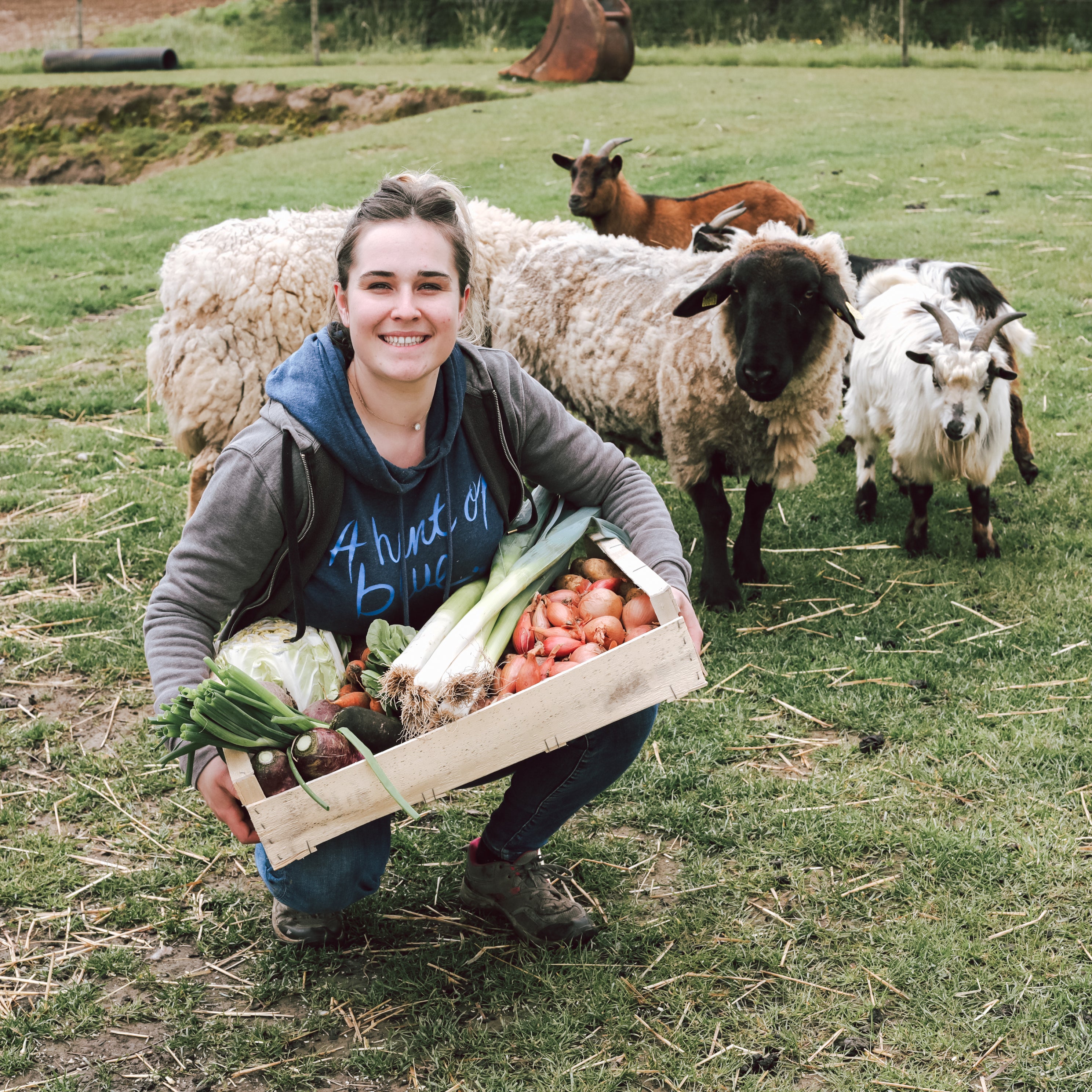 Panier de légumes de saison bio